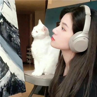十字谜情