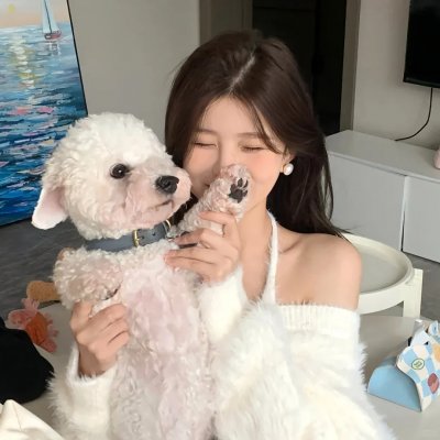 搏击芭蕾